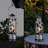 Aadhavan 15'' Outdoor Lantern