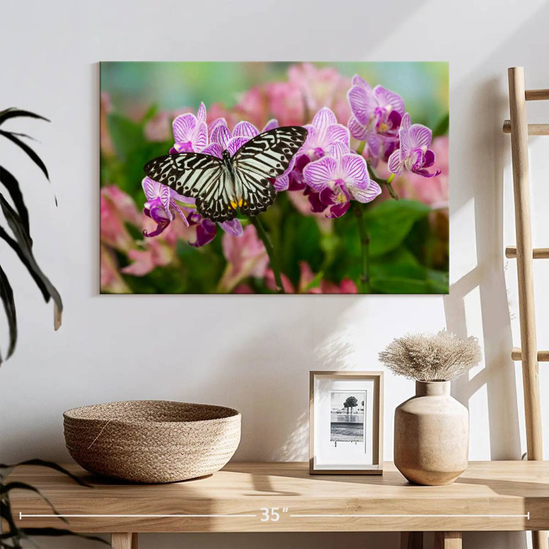 Brampt Malayan Zebra Butterfly, 16'' H x 24'' W