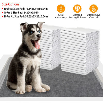 Tapis de dressage pour chiens