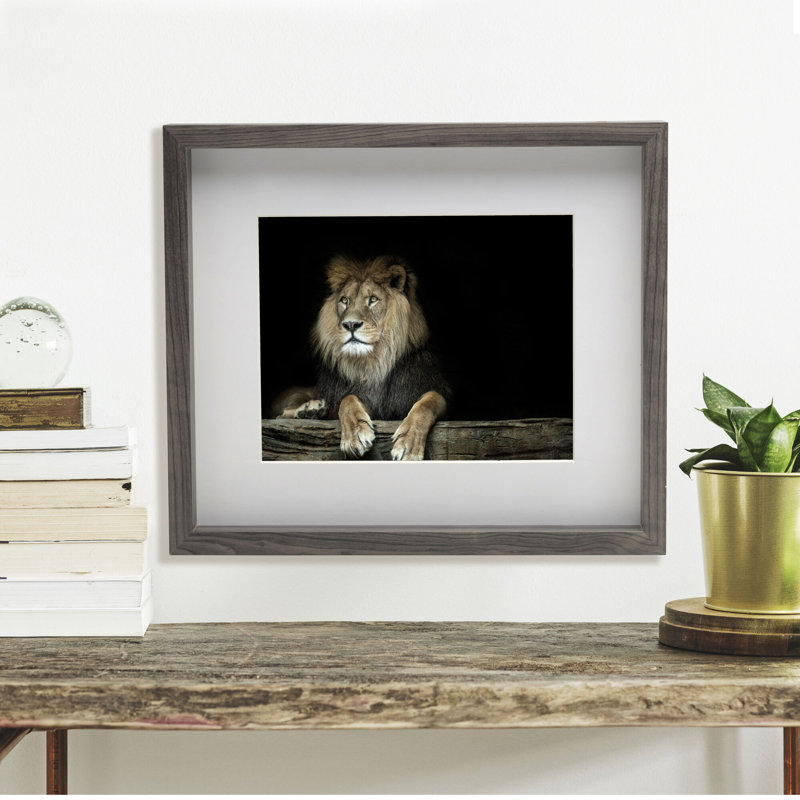 Mikasa Bold Gallery Photo Frame, Noir, 8 po x 10 po, 16 po x 20 po