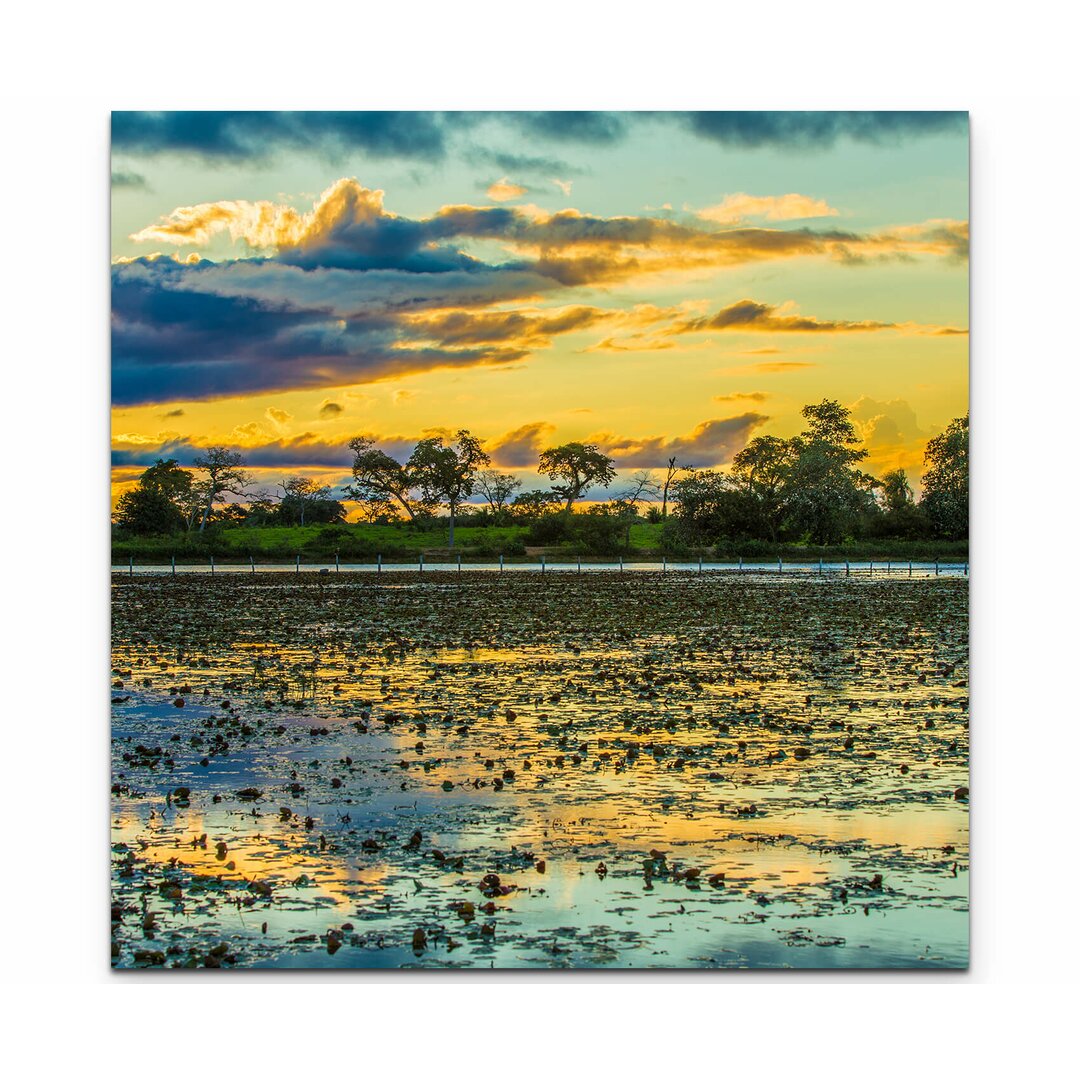 Leinwandbild Farbenfroher Sonnenaufgang im Pantanal Sumpf