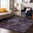 Premium Machine Washable Cerrito AMF555 Purple Rug-104020357