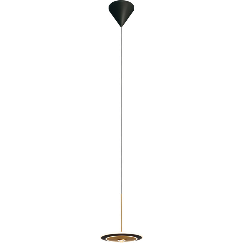 Luminaire suspendu à 1 lumière DEL Celester