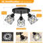 Directionnel et projecteur-129037193-114357192