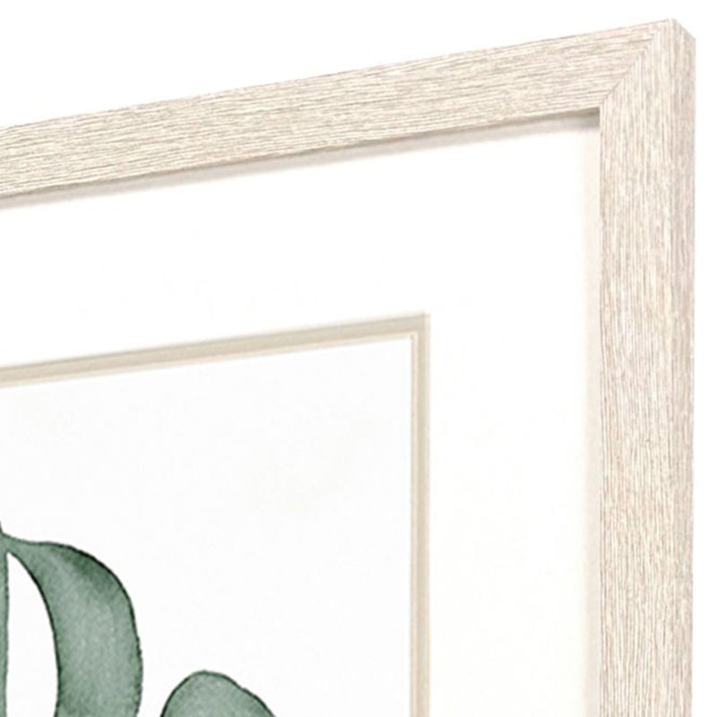 Presse-plantes S / 2