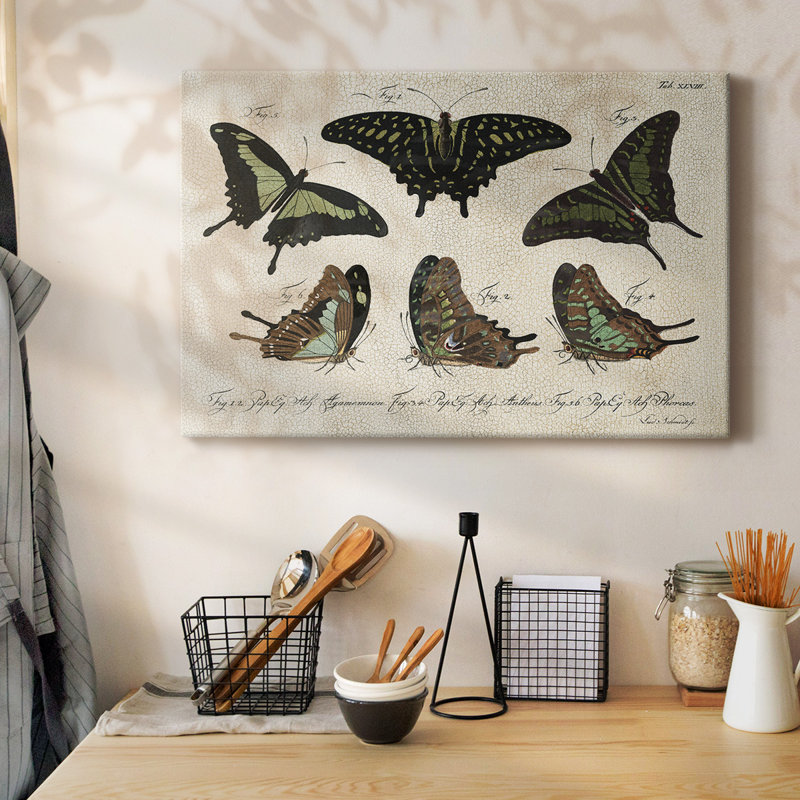 «Crackled Butterflies II», toile tendue avec châssis, H 12 po x l 18 po