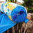 Big Joe Noodle Sling Pool Float-71099992-96814108