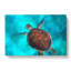 A Sea Turtle In Abstract - Wrapped Canvas-55299420