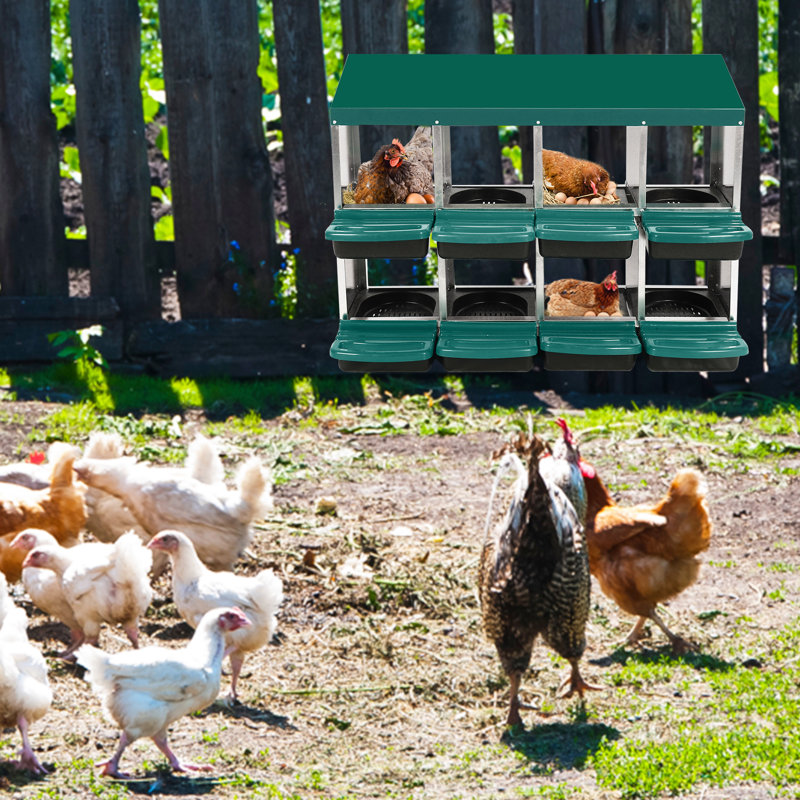 Nesting Boxes