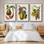 Ensemble de 3 pièces encadrées sur toile sépia botaniques IV-97711010-97711015