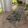 Templas Modern Abstract, Gray/Black/Ivory