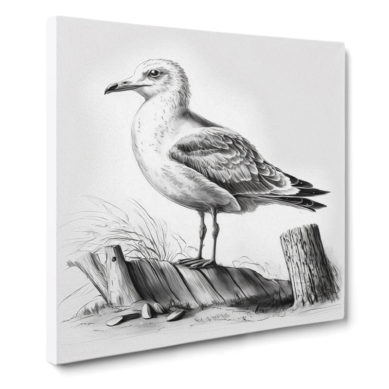 Seagull Drawing - Wrapped Canvas - Framed Print, 35cm H x 35cm W x 3cm D