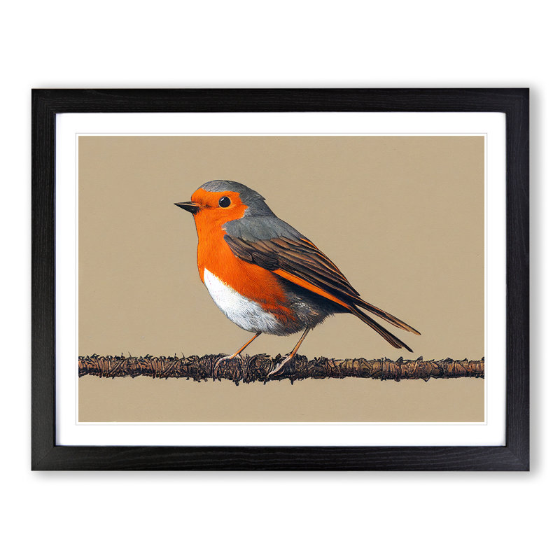 Tremendous Robin Bird - Framed Print, Black, 34cm H x 46cm W x 2cm D