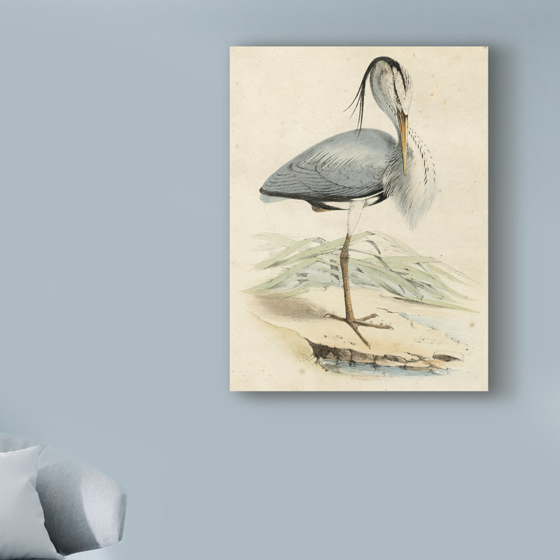 «Antique Heron IV», reproduction sur toile tendue, H 19 po x l 14 po x P 2 po