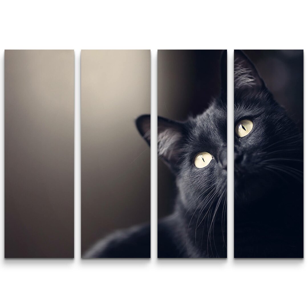 4-tlg. Leinwandbilder-Set Schwarze Katze - Portrait