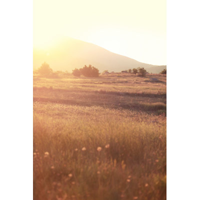 Indian Nature Meadow by Lechatnoir - Wrapped Canvas Print