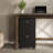 Ebern Designs File Cabinet - 2-Drawer Cabinet with Lock and Deep Drawer Storage - Rolling Filing Organizer for Under The Desk, Home, or Office-416611533