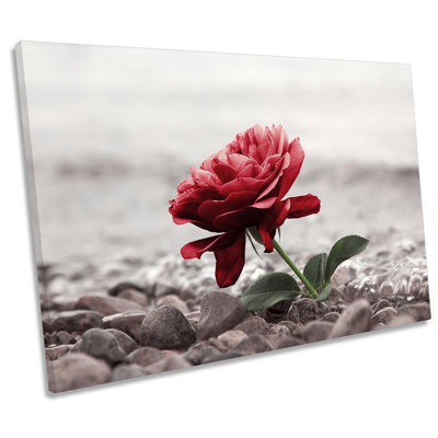 Flower Pebbles Rose - Wrapped Canvas Print