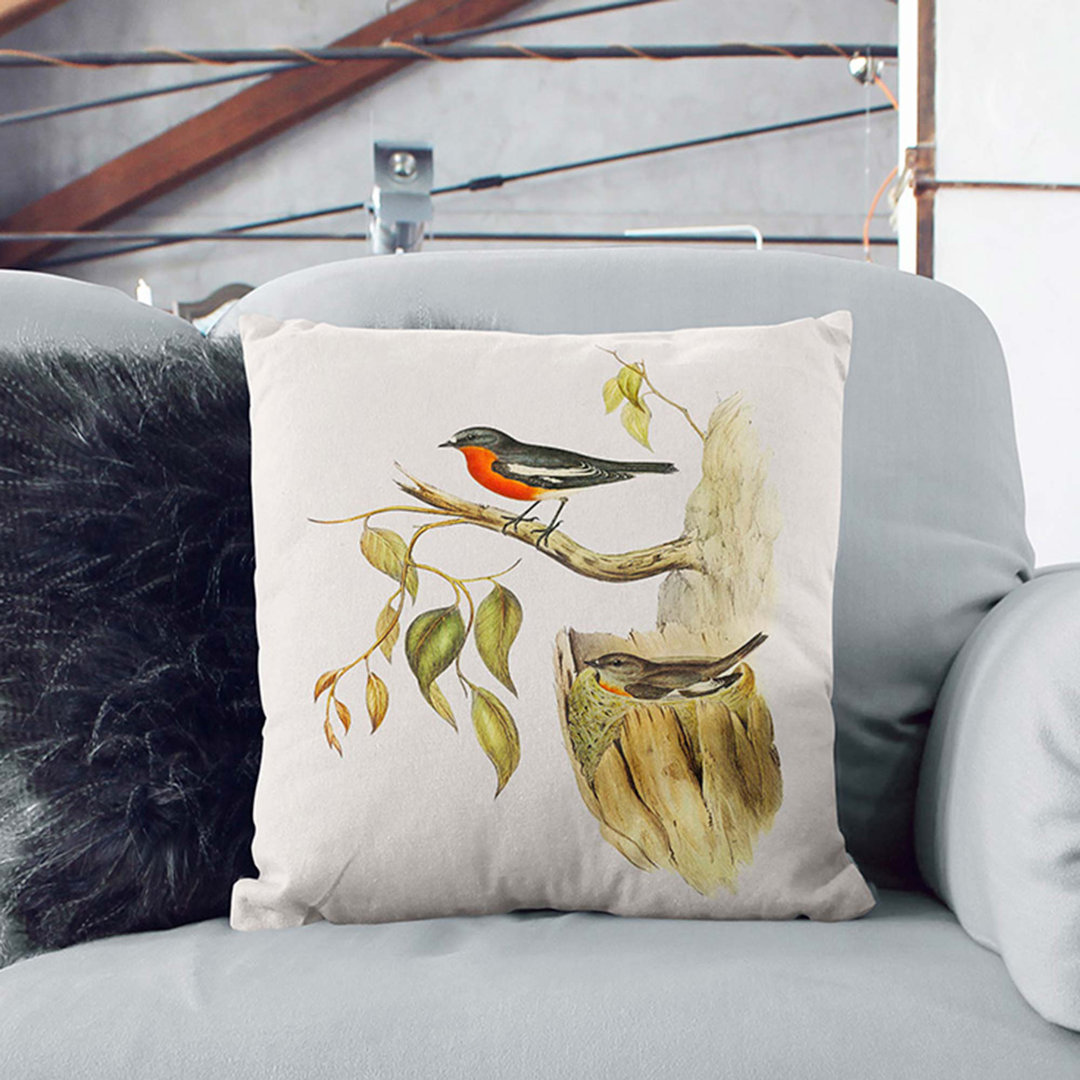 Flame-Breasted Robin by Elizabeth Gould Cushion with Filling