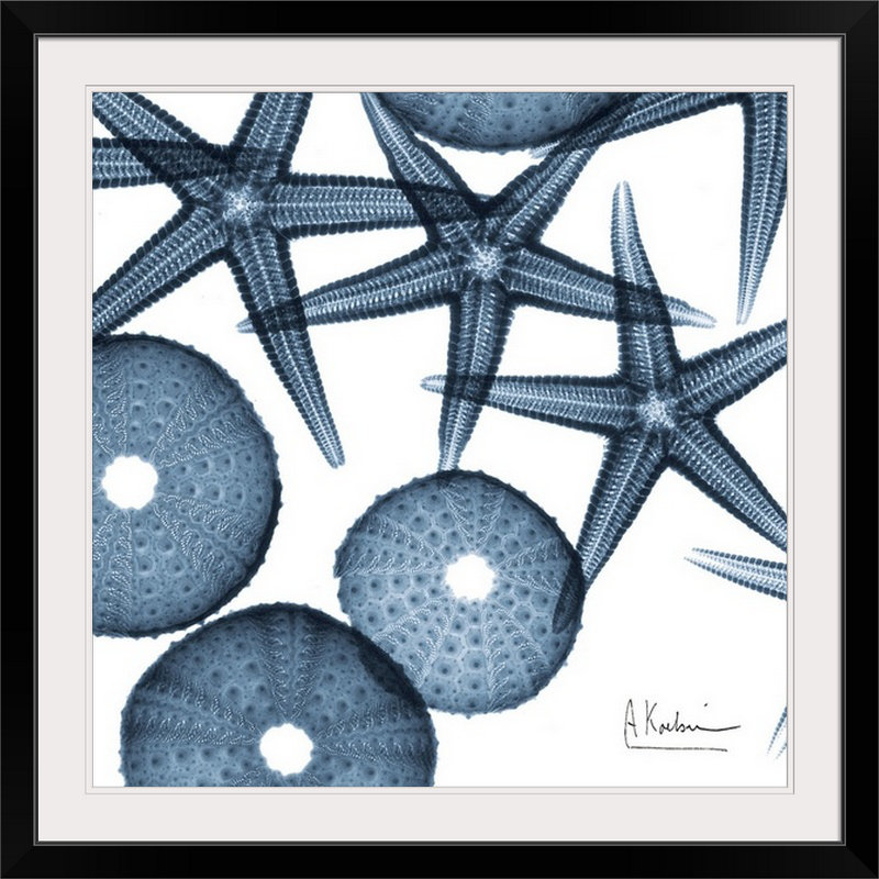 «Starfish X-Ray» par Albert Koetsier, reproduction de photo, H 20" x l 20" x P 1", Cadre noir