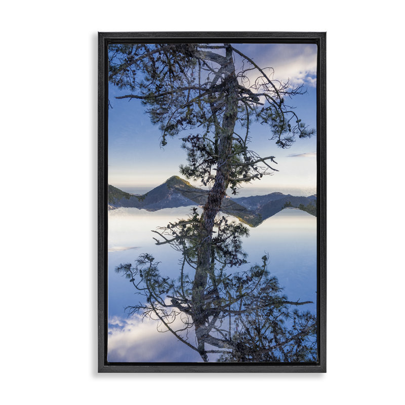Cadre flottant Tree & Mountain Symmetry, design par Robin Vandenabeele, Cadre flottant noir de jais, H 25 po x l 17 po