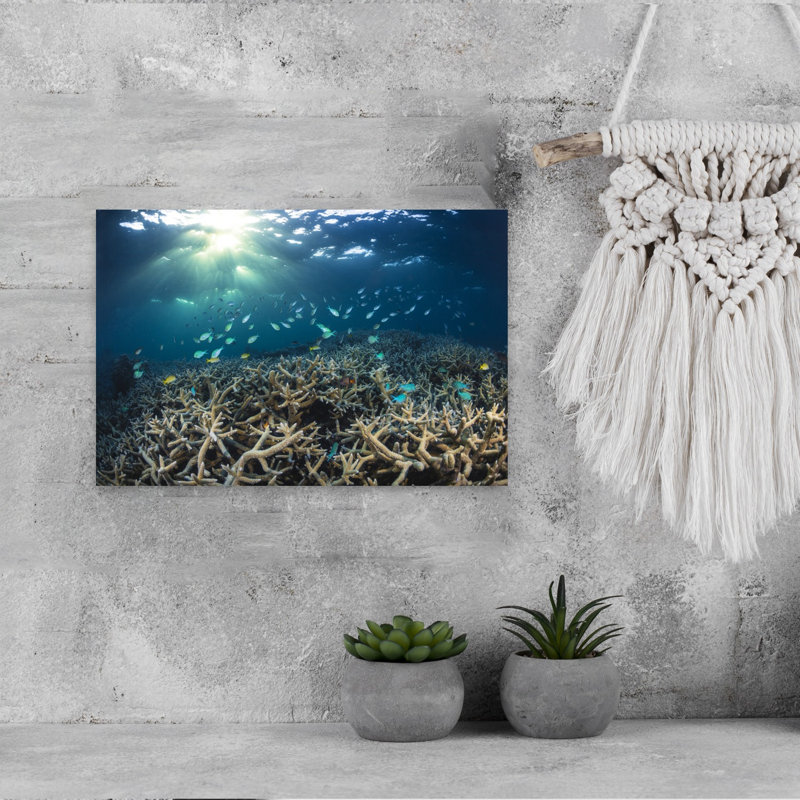 Sunlit Underwater Coral Reef Colorful Serene Vibrant Fish Nature Ocean Wall Art Print 1 Piece Wrapped Canvas Wall Art