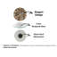 Horloge murale hexagonale en bois rustique-210516036-210516038