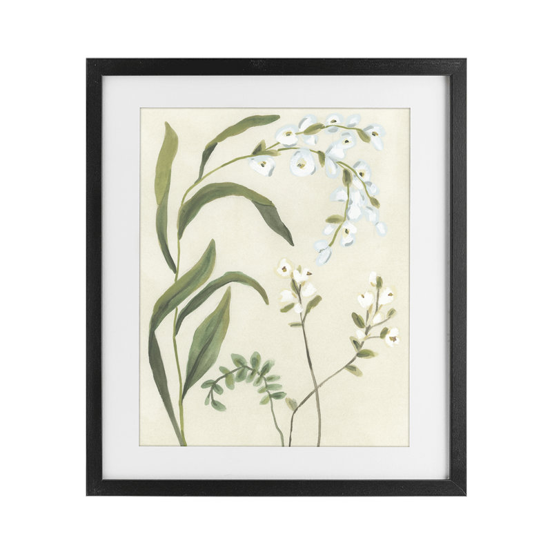 «Soft Snowdrop Stems», reproduction encadrée sous verre, design par June Erica Vess, H 16 po x l 13 po, Cadre noir minuit