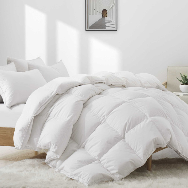 Édredon 100% coton duvet d'oie européen, Simple