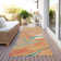  Machine Washable Indoor/Outdoor Chayden ACN1061 Rug