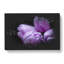 Four Purple Tulips - Wrapped Canvas Print-56666294