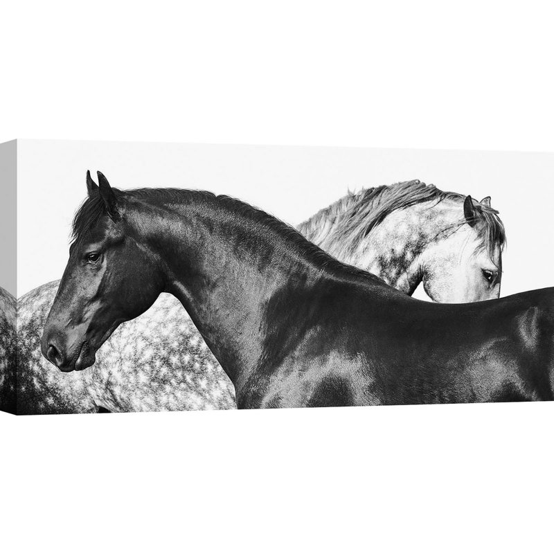 Lovers - Wrapped Canvas Print, 35cm H x 70cm W