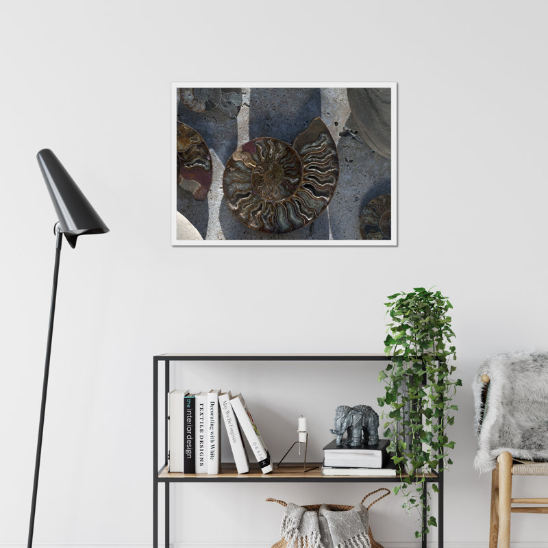 Gifts Of The Shore XVI by Elena Ray - Print, 55cm H x 80cm W, White Framed Paper Print