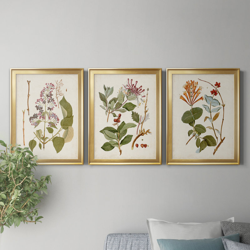 " Vintage Flowering Trees II " 3 - Pieces, 24" H x 18" W x 1" D, Gold Framed