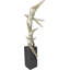 Gold Leaf 2 Acrobatic Raptor Swallow Birds In Flight On Black Base Figurine 19"H