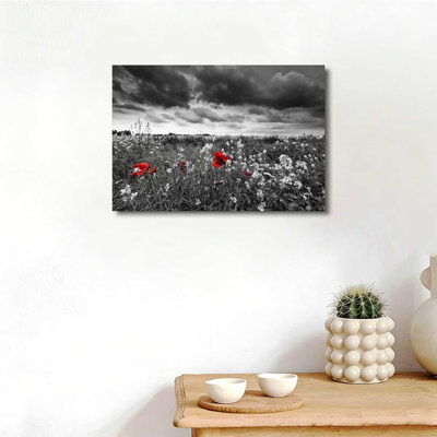 12" X 18" Flowers In Field Black And White Pictures Prints Sea Of Flowers Modern Artwork Canvas Wall Art