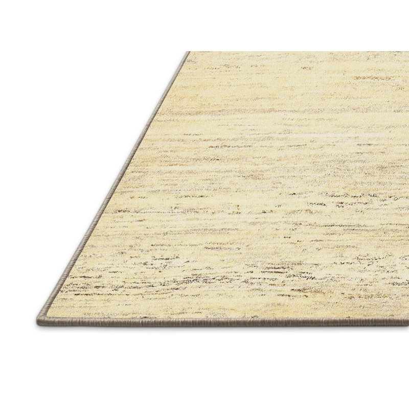 Tapis beige contemporain, Rectangle 2 pi x 4 pi