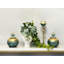 Ringold Ivy dans un vase rond en céramique