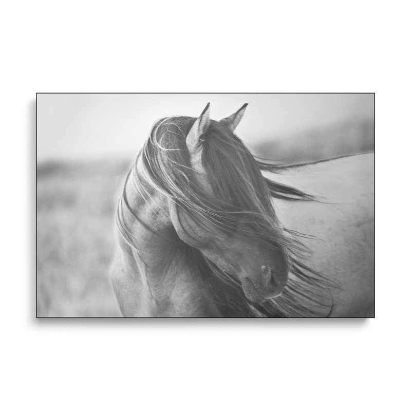 Reproduction d'art sur toile Steemplix - Fierce Grace par Tony Stromberg
