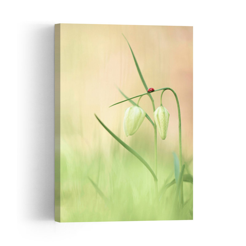 Serene Ladybug Blooms Delicate Peaceful Serene Ladybug Flower Nature Wall Art Print 1 Piece Wrapped Canvas Wall Art