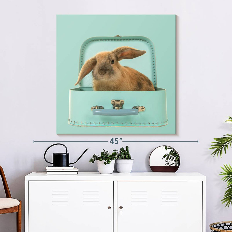 Crowle Bunny In A Suitcase