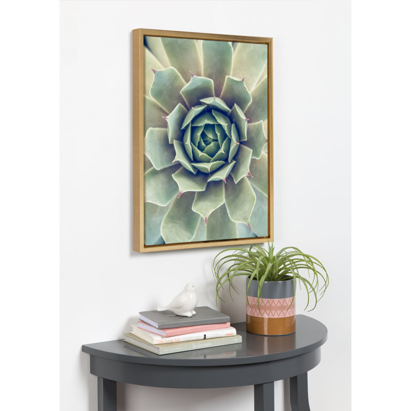 «Succulent 1» par Emiko et Mark Franzen, reproduction d'art sur toile encadrée