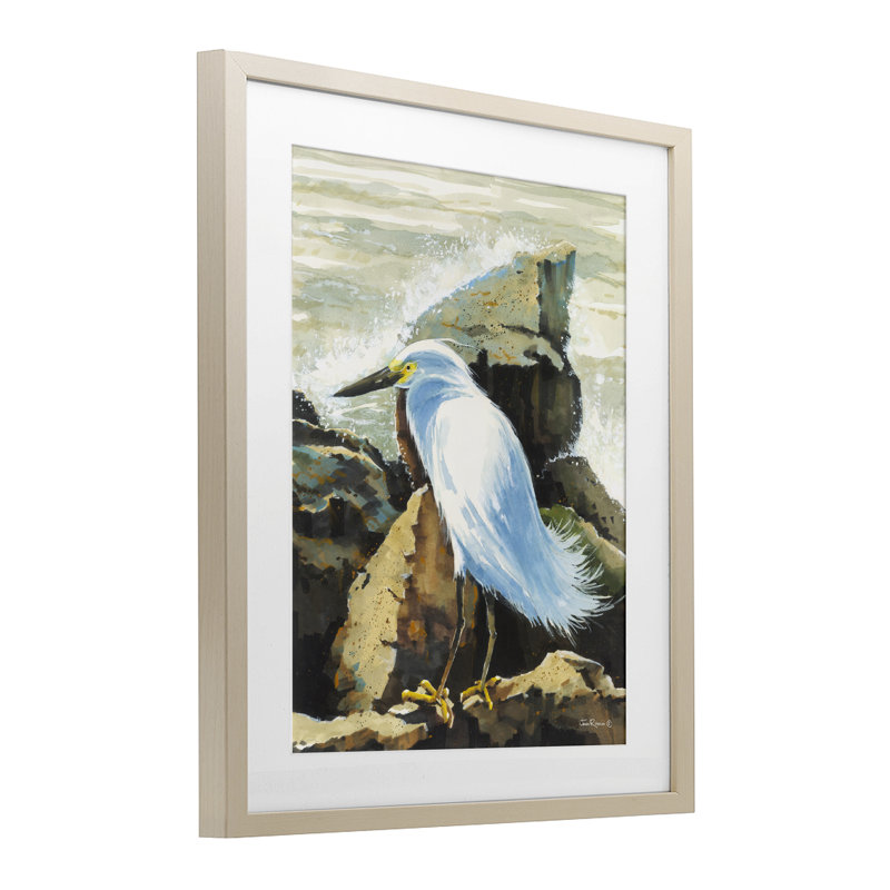 «Rocky Perch Coastal Cliff Bird», reproduction encadrée sous verre, conception de John Rossini, H 21 po x l 17 po
