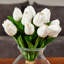 Ensemble de tulipes blanches artificielles de 10 po Barnette Elegant Real Touch