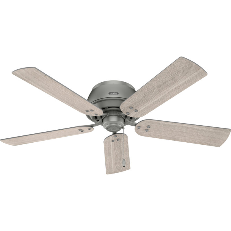 Shady Grove 52" 5 - Blade Ceiling Fan With Lights And Pull Chain, Matte Silver