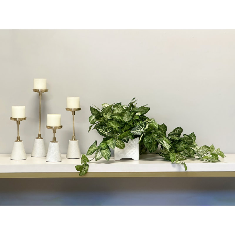 Ochoa Faux Syngonium Plant in Ceramic Vase