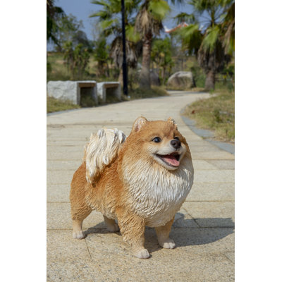 Standing Pomeranian