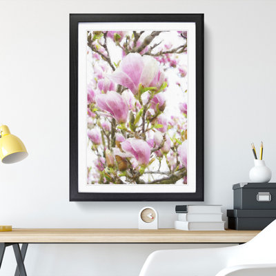 Pink Magnolia Blossom Flowers - Picture Frame Graphic Art