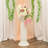 Shaeffer Figurines & Sculptures