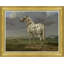 Champion Horse II Giclee Print